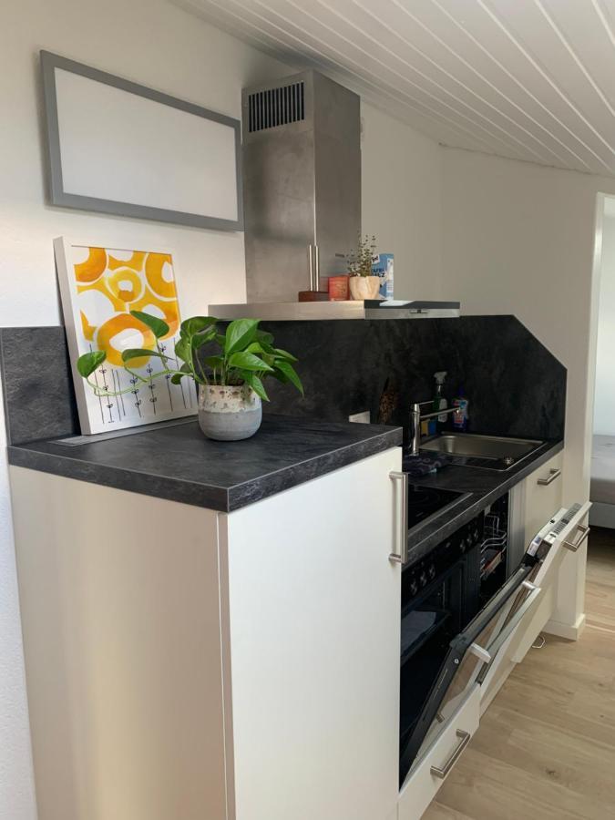 Schoene, Grosse Ferienwohnung Direkt Am Donauradweg & Keltenstadt Heuneburg Herbertingen Eksteriør billede